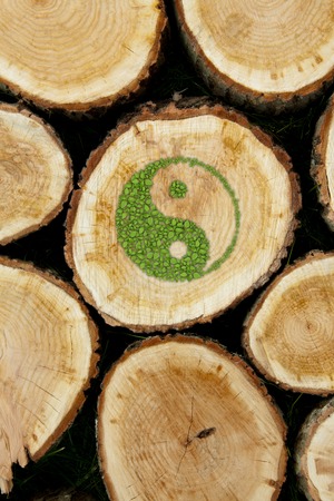 Stacked Logs Background with ying yang symbol of harmony.の写真素材
