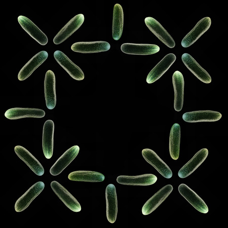 Green cucumbers on black background. Isolated flat lay photo.