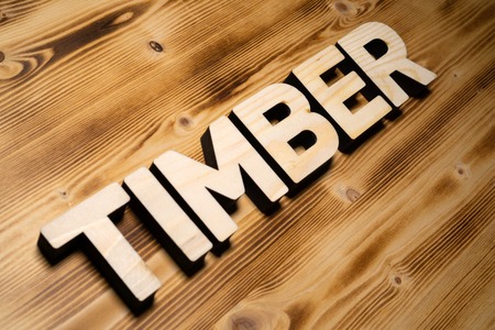 TIMBER word made with building blocks on wooden board