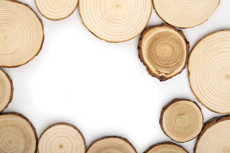 Pine tree cross-sections with annual rings on white background. Lumber piece close-up, top view.