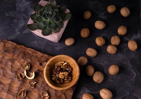 Echeveria plant and walnuts on blue slate table. Healthy nuts and seeds composition.の写真素材
