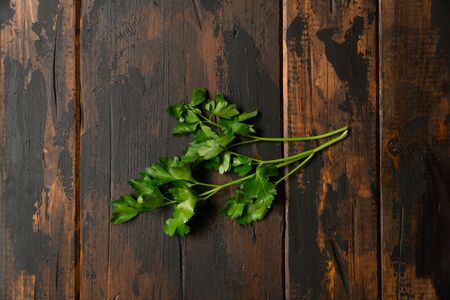 Bunch of green parsley on wooden rustic table. Top view.の写真素材