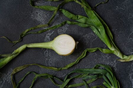 Organic onion with leaves on dark textured surface. Ripe onions. Bulb onions, green spring. Top...