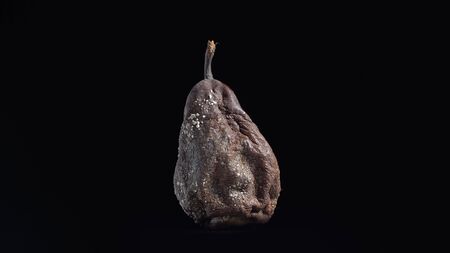 Rotten moldy pear rotating on black background, loopable isolated studio shot.の写真素材
