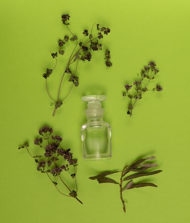 Dried herbs and empty vial on green background. Herbal medicine, essential oil. Alternative medicine concept. Background with copy space.の写真素材