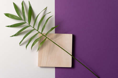 Tropical leaf and square wooden block on violet and white paper background. Flat lay, top view, minimal design template with copyspaceの写真素材