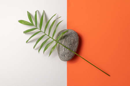 Tropical plant leaf and pebble stone on orange and white paper background. Flat lay, top view, minimal design template with copyspaceの写真素材