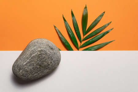 Tropical plant leaf and pebble stone on orange and white paper background. Flat lay, top view, minimal design template with copyspaceの写真素材