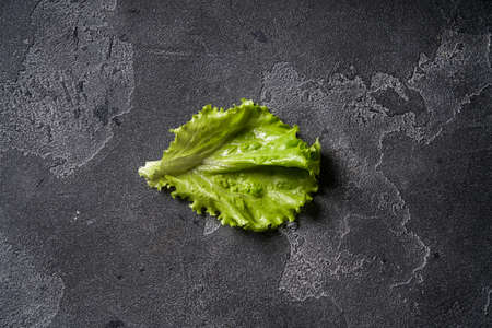 Fresh green lettuce leaf on dark concrete surface.の写真素材