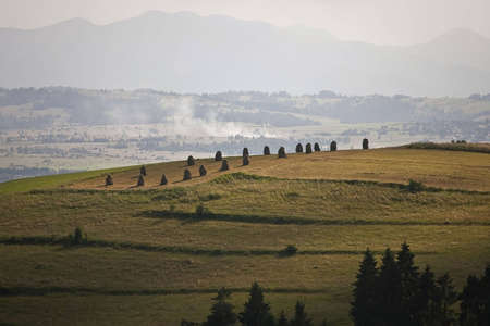 Country Landscapeの写真素材