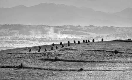 Countrysideの写真素材