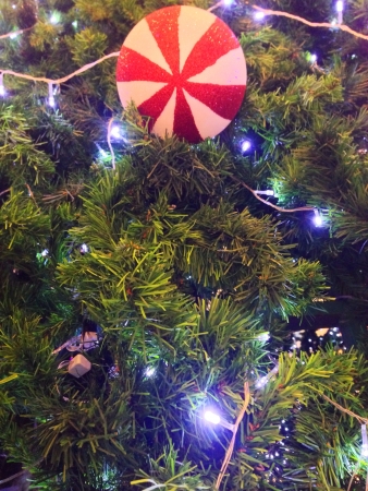 hristmas lights hanging in a treeの素材