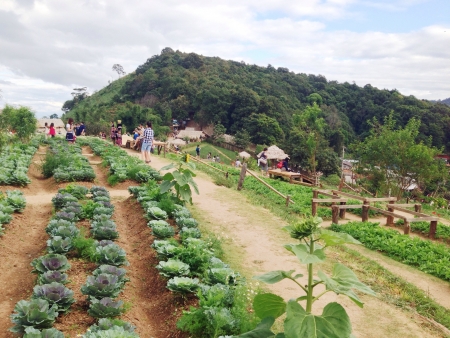 Viewpoint of Mon jam Chiangmai Thailandの素材