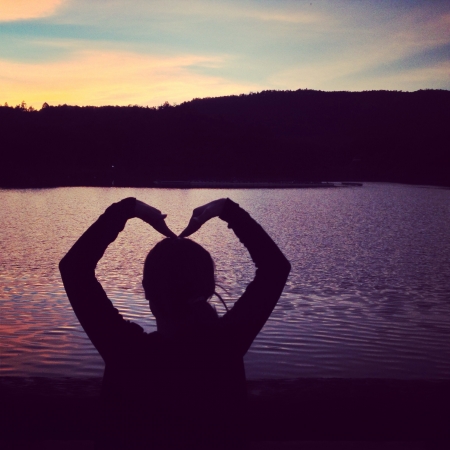 Silhouette heartの素材