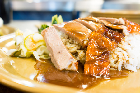 Roasted duck with rice , Thai foodの写真素材