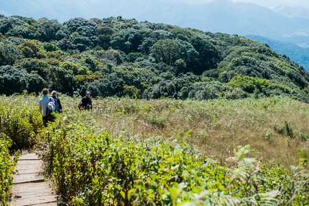 Chiangmai, Thailand - Dec 21 :Kew Mae Pan Nature Trail in Doi Inthanon National Park, on Dec 21, 2016 in Chiangmai, Thailandのeditorial素材