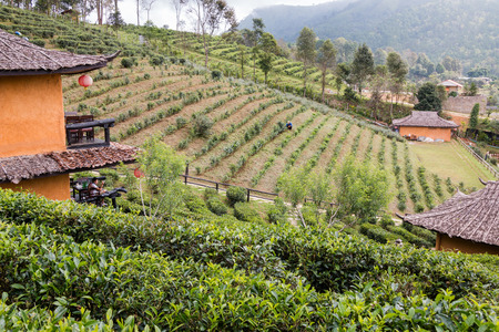 Ruk Thai Village in Mae Hong Son, Thailandの写真素材