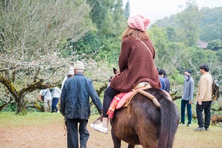 Chiangmai, Thailand - Dec 17: Ang Khang Station, A famous garden at Doi Ang Khang on Dec 17, 2016 in Chiangmai, Thailandのeditorial素材