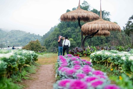 Chiangmai, Thailand - Dec 17: Ang Khang Station, A famous garden at Doi Ang Khang on Dec 17, 2016 in Chiangmai, Thailandのeditorial素材