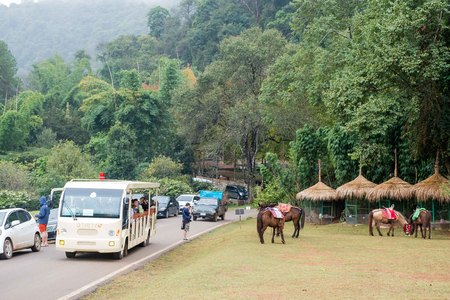 Chiangmai, Thailand - Dec 17: Ang Khang Station, A famous garden at Doi Ang Khang on Dec 17, 2016 in Chiangmai, Thailandのeditorial素材