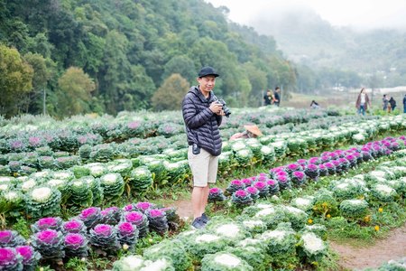 Chiangmai, Thailand - Dec 17: Ang Khang Station, A famous garden at Doi Ang Khang on Dec 17, 2016 in Chiangmai, Thailandのeditorial素材