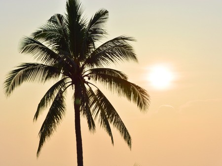 romantic sunsetの写真素材