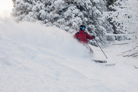 freeride ski on fresh snowの写真素材