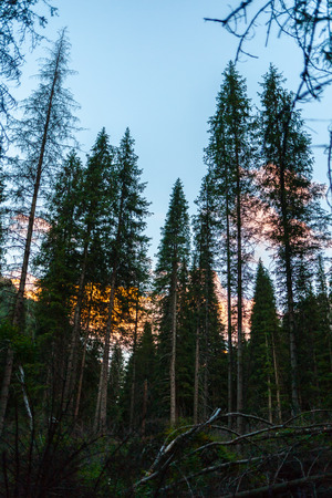Amazingly beautiful mountains in summerの写真素材