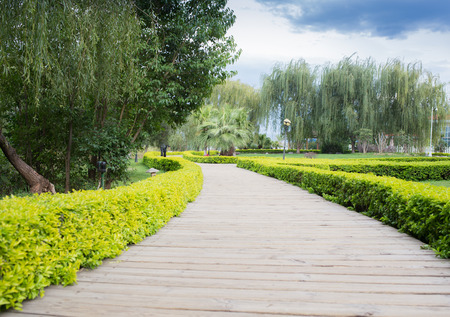 Flowering Chinese gardenの写真素材