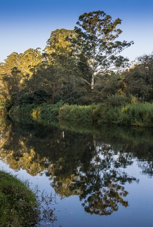Sunset over Lake in the India, Munnarの写真素材