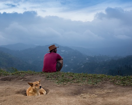 Dog in a garden with a dog house on the topの写真素材