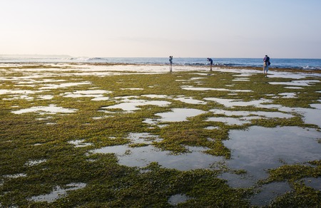 Sky background on sunset.  Nature composition Sri Lankaの写真素材