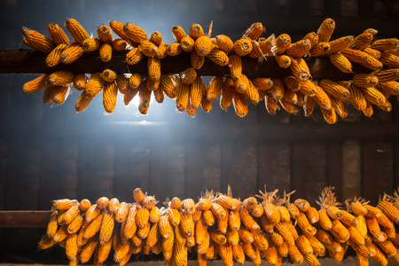 Rural landscape with fields and houses in the Chinaの写真素材