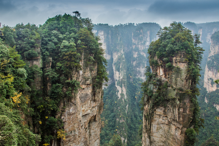 Breathtaking landscape summer day in Zhangjiajie, Chinaの写真素材
