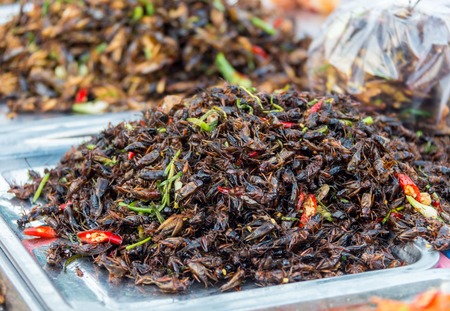pile of filthy dishes infested with roaches.の写真素材
