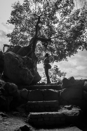 Beautiful young lady walking in nature on sunny spring dayの写真素材