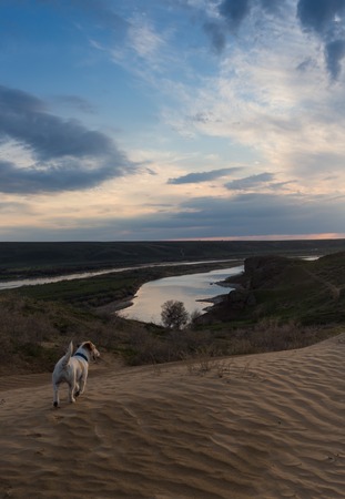 Beautiful sand dunes in the Sahara desertの写真素材
