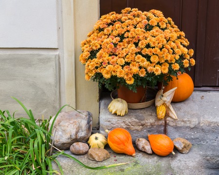 halloween inspiration. Autumn still life. pumpkin, dry roses, viburnum honey cake. in a vase. twigs. on the tableの写真素材
