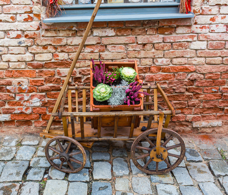 halloween inspiration. Autumn still life. pumpkin, dry roses, viburnum honey cake. in a vase. twigs. on the tableの写真素材