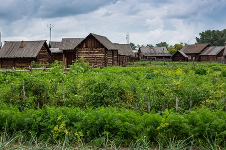 Houses and environment in Shushinskoe, Russiaの写真素材