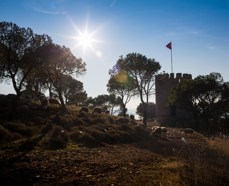 Amazing landscape with Rocks formation near Meteora, Thessaly, Greeceの写真素材