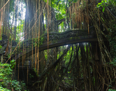 Famous dragon bridge in Monkey Forest Sanctuary in Ubud, Bali, Indonesia.の写真素材