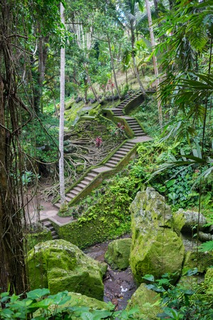 Stone slab stairs up a small hill under green tree