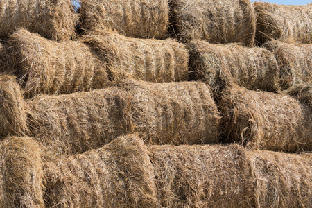 Dry baled hay bales stack, rural countryside straw background. Hay bales straw storage shed full of bales hay on agricultural farm. Rural land cowshed farm with hay straw bales stack under old shedの写真素材