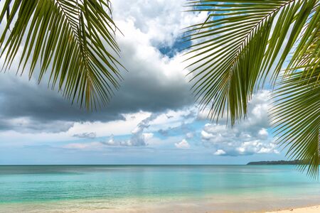 Tranquil Coastline of Tropical remote island on cloudy day. This dream vacation spot comprises coconut trees, natural untouched beach with shallow water of turquoise color, clear Horizon & cloudy sky.の写真素材