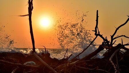 High Tidal Waves colliding with Sea Shore during sunset, showing the enormous amount of energy trapped in the form of tidal waves.の写真素材