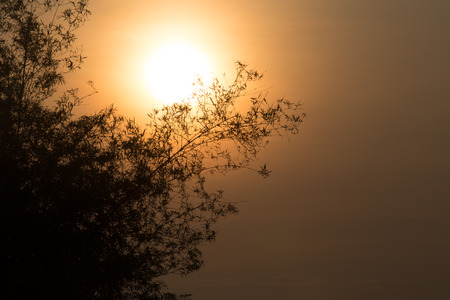 The light in the eveningの写真素材