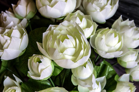 Closeup of the white frabic lotus  backgroundの写真素材