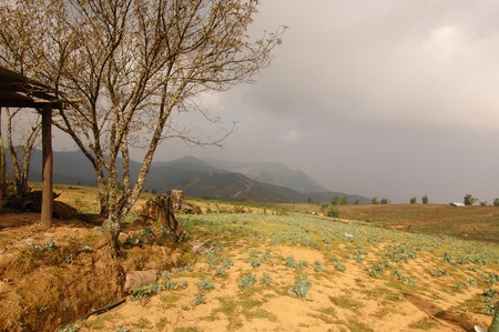 The droughty farmlandの写真素材