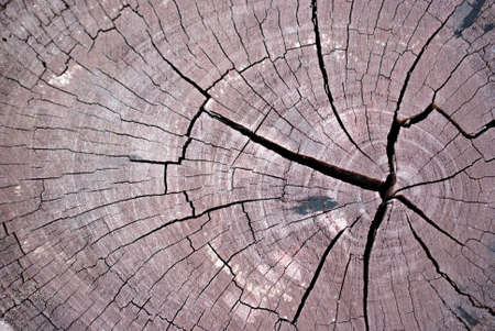 Old wood in Thailandの写真素材